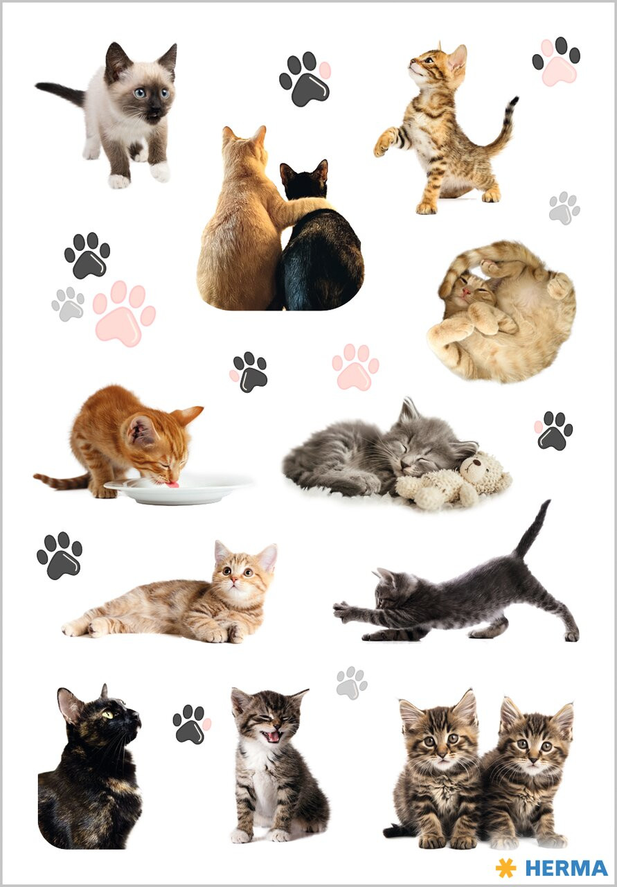 Herma stickers Decor happy kittens (3)