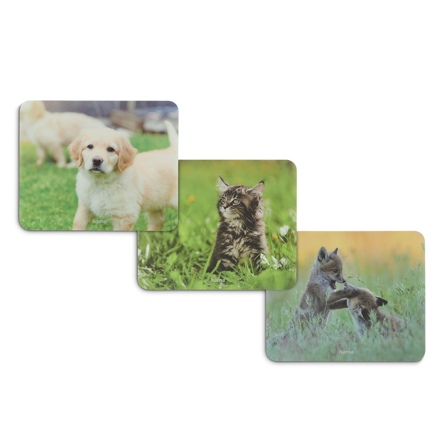 HAMA Mouse Pad Animal Display 12 pieces