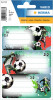 Herma Skolboks etiketter Vario soccer 76...