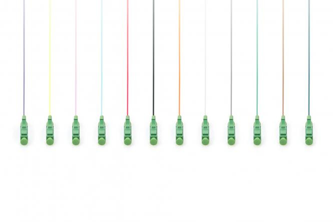 DIGITUS FO pigtail set, 12 pcs, LC (APC), 2m