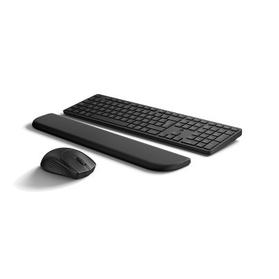 HP 585C Multi-Device Dual-Mode Mou/Keyb PalmR Black (Nordic)
