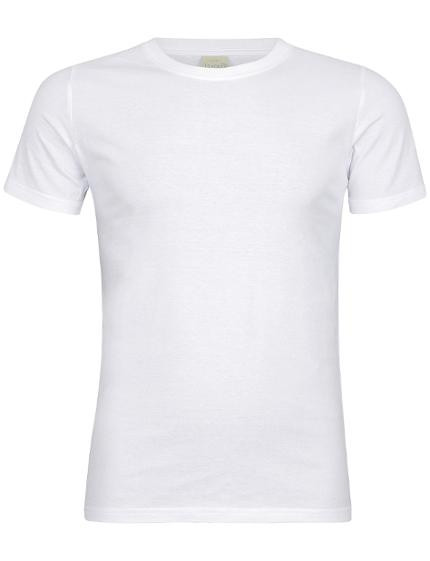 BildeT-Skjorte Original Slim L Hvit