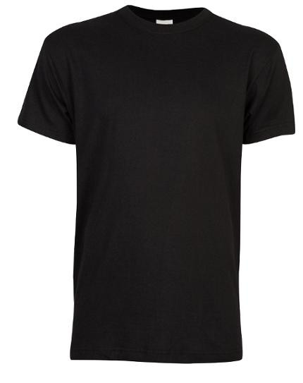 BildeT-Skjorte Original L Sort