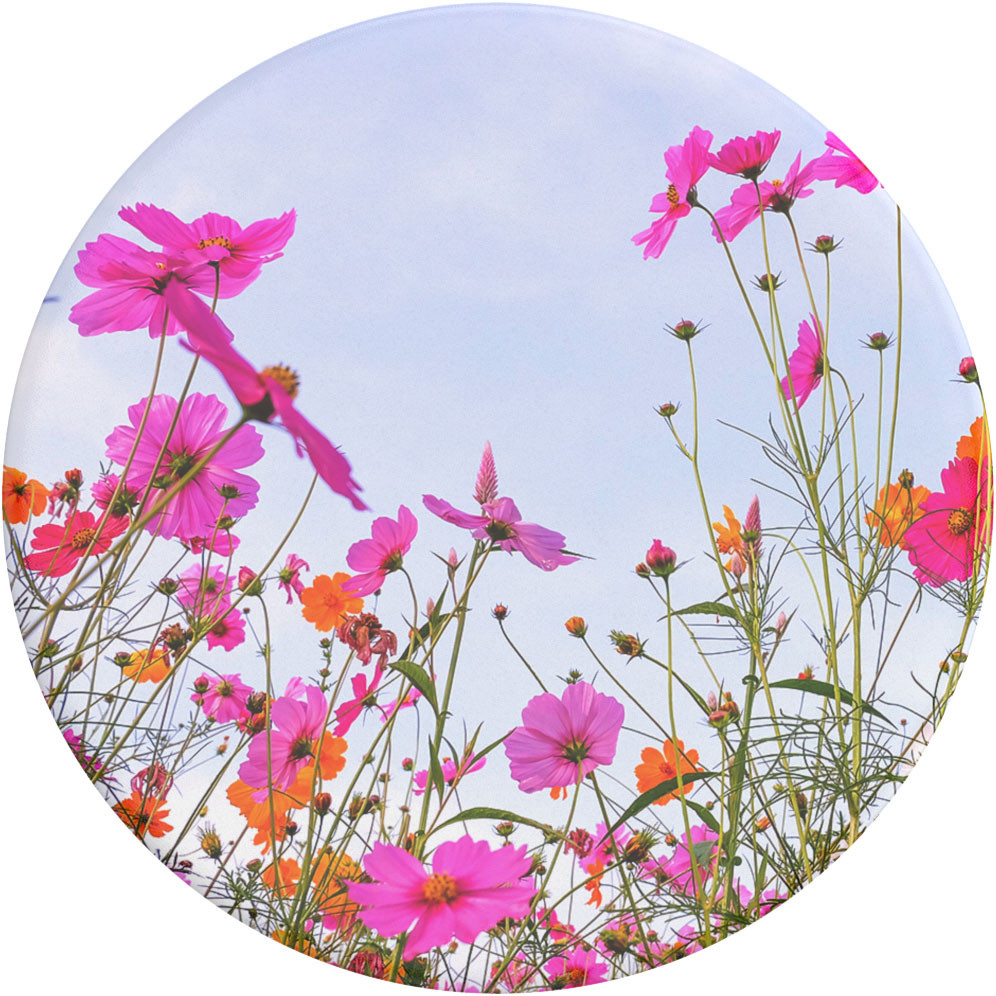 POPSOCKETS PopGrip Standard Fuschia Blooms