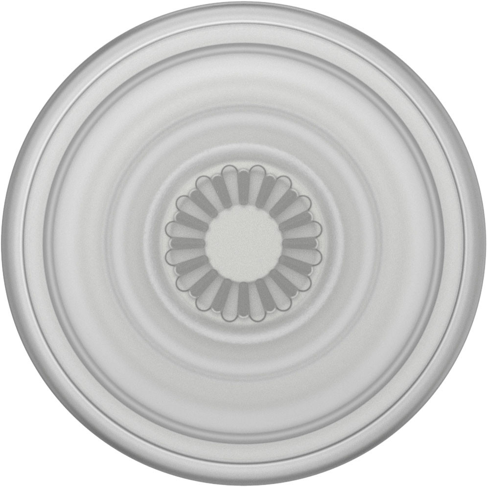 POPSOCKETS PopGrip Plant Faded Stone