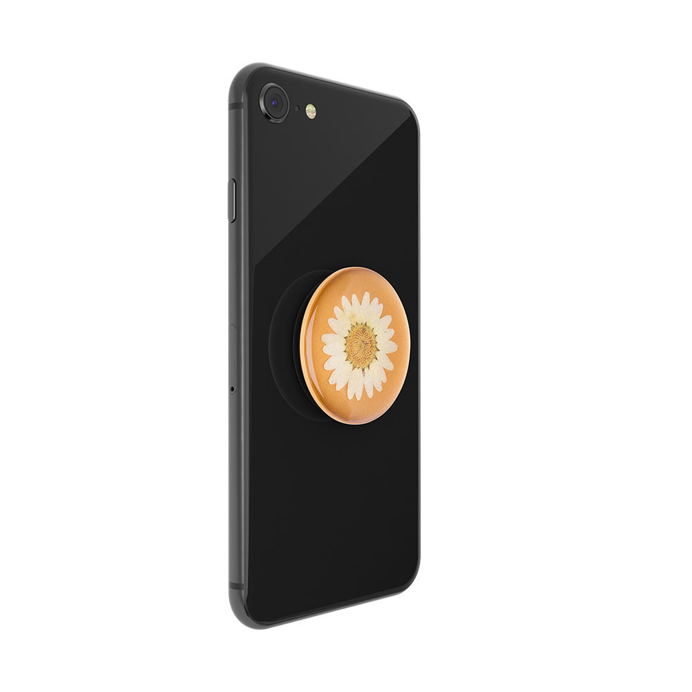 POPSOCKETS Pressed Flower White Daisy Avtagbart Grip med Stativfunksjon Premium