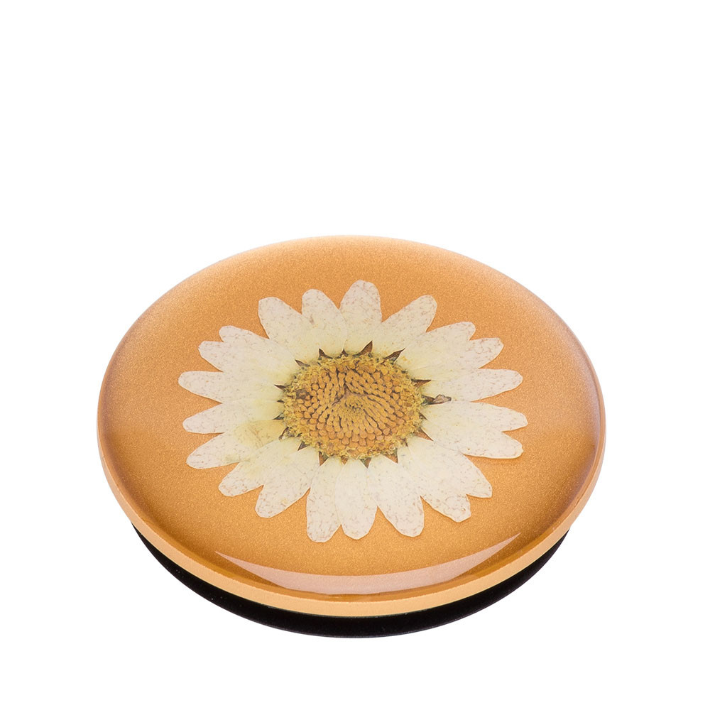POPSOCKETS Pressed Flower White Daisy Avtagbart Grip med Stativfunksjon Premium