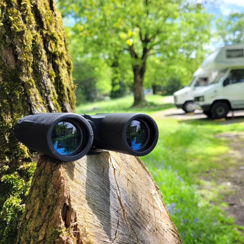 KODAK Binoculars 12 x 32 BCS600BK