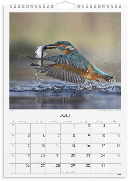 Veggkalender Grieg 2027 Fugler