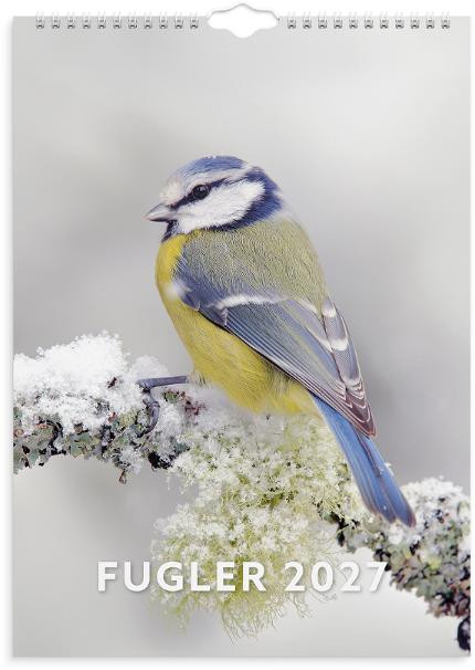 BildeVeggkalender Grieg 2027 Fugler