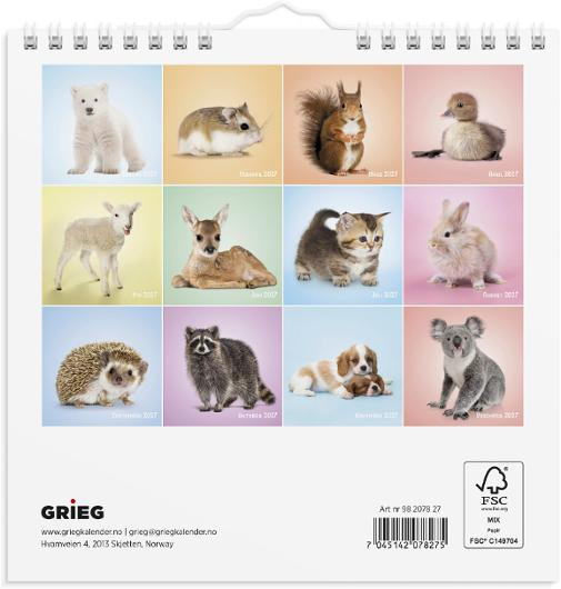 Veggkalender Grieg 2027 Søtnoser