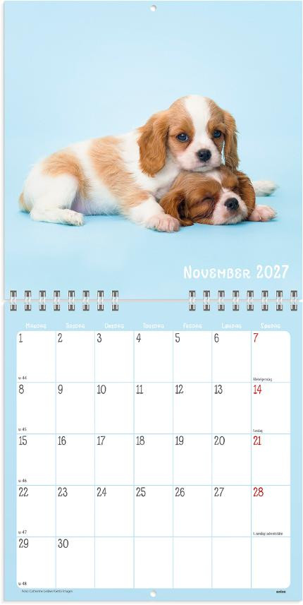Veggkalender Grieg 2027 Søtnoser