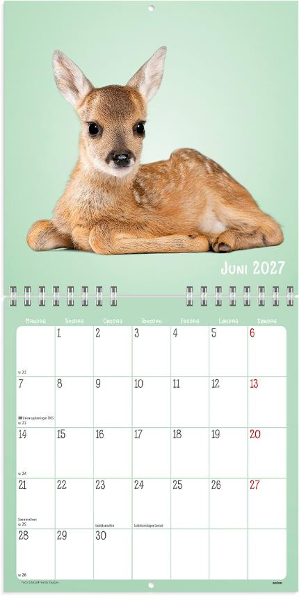 Veggkalender Grieg 2027 Søtnoser