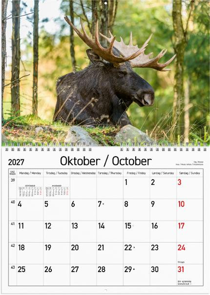 Veggkalender Grieg 2027 Norske Dyr