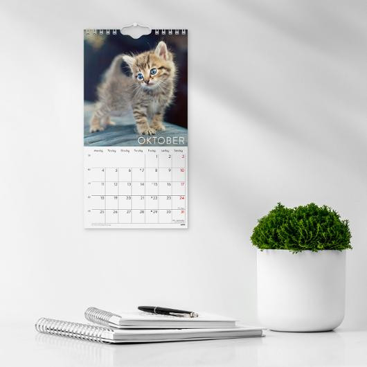 Veggkalender Grieg 2027 Katter Mini