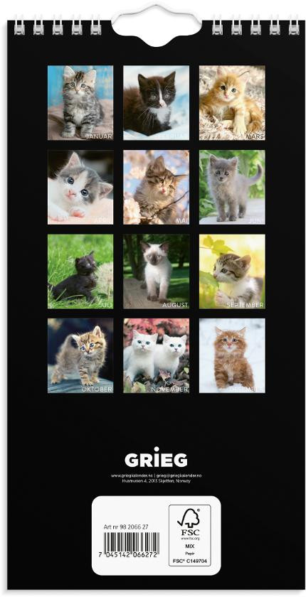 Veggkalender Grieg 2027 Katter Mini