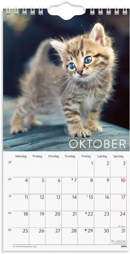 Veggkalender Grieg 2027 Katter Mini