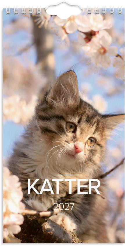 BildeVeggkalender Grieg 2027 Katter Mini