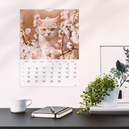 Veggkalender Grieg 2027 Katter