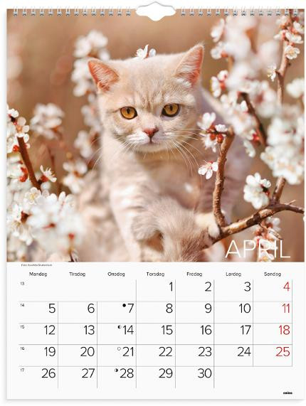 Veggkalender Grieg 2027 Katter