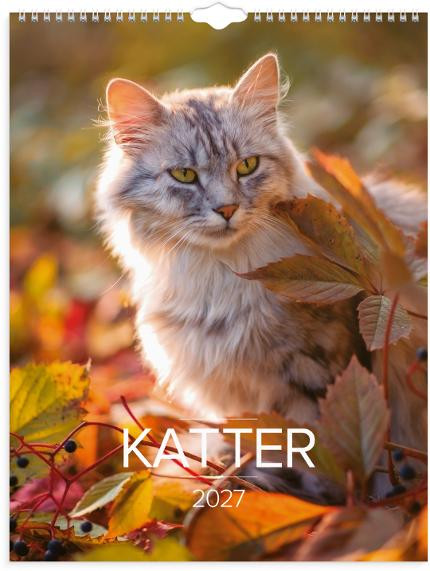 BildeVeggkalender Grieg 2027 Katter
