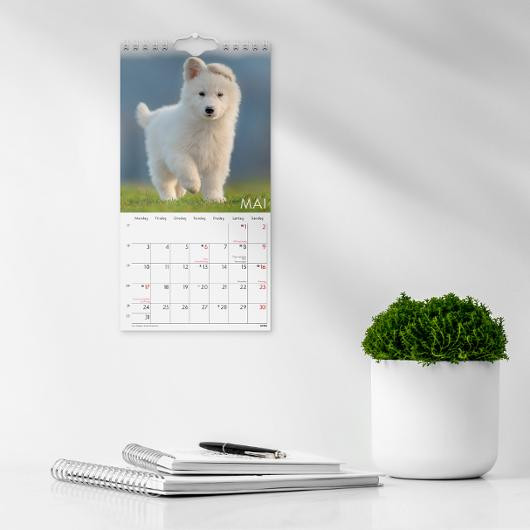 Veggkalender Grieg 2027 Hunder Mini
