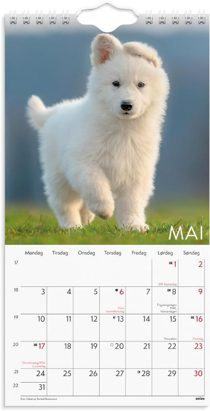 Veggkalender Grieg 2027 Hunder Mini