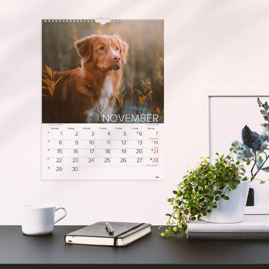 Veggkalender Grieg 2027 Hunder