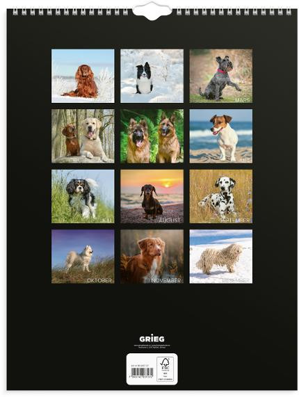 Veggkalender Grieg 2027 Hunder