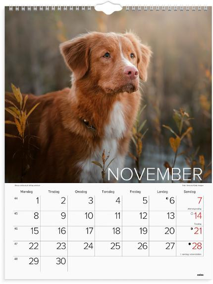 Veggkalender Grieg 2027 Hunder