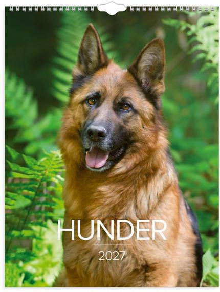 BildeVeggkalender Grieg 2027 Hunder