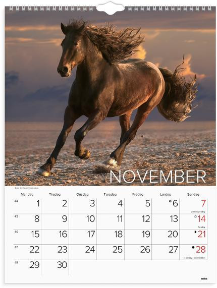 Veggkalender Grieg 2027 Hester