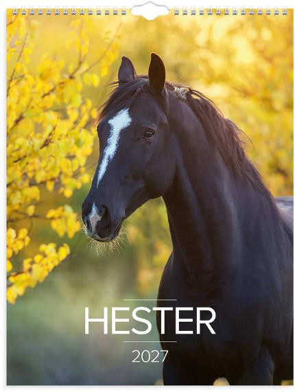 BildeVeggkalender Grieg 2027 Hester