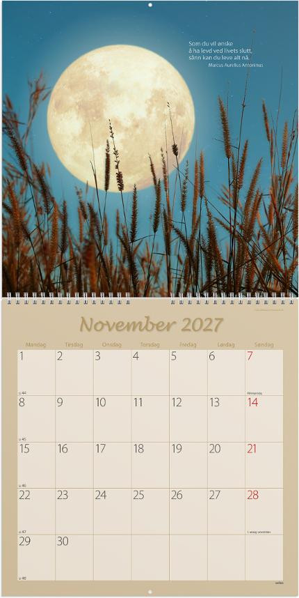 Billedkalender Grieg 2027 Carpe Diem